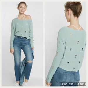 NWT Express | sweater
